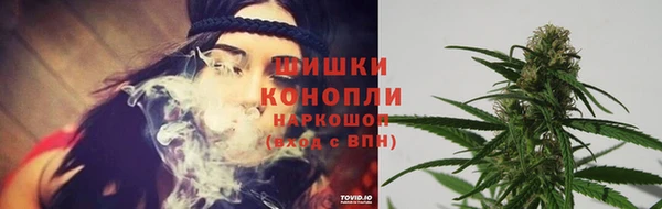 ПСИЛОЦИБИНОВЫЕ ГРИБЫ Михайловка