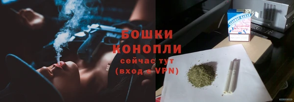 ПСИЛОЦИБИНОВЫЕ ГРИБЫ Михайловка