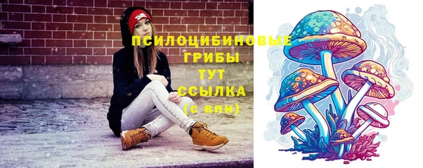 ПСИЛОЦИБИНОВЫЕ ГРИБЫ Михайловка
